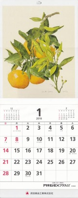 2017_12ÉðÅÄÌôÉʹ©¶È¥«¥ì¥ó¥À¡¼
