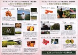2018_01�ǥꥫ�ա����ѥ��