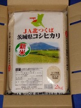 2019_11����������ͥ������