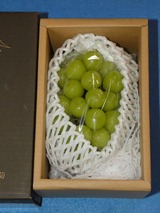 2025_09�ҥ塼��å�����ͥ������3