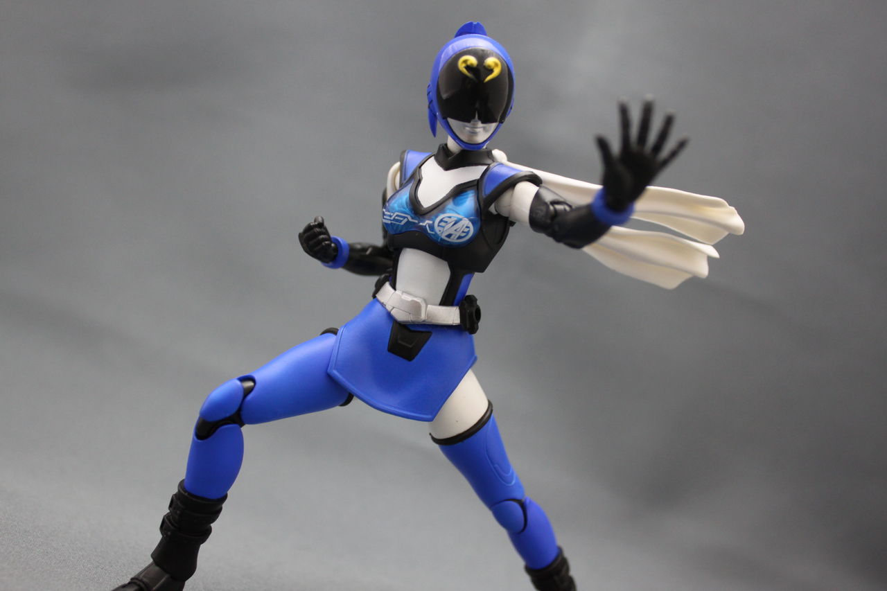 S H フィギュアーツ アキバブルー レビュー 貧乏人の玩具生活 S H フィギュアーツ アキバブルー レビュー 貧乏人の玩具生活