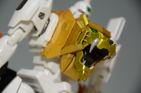 DSC_4583