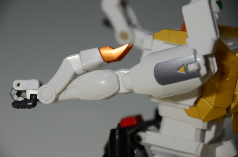 DSC_4554