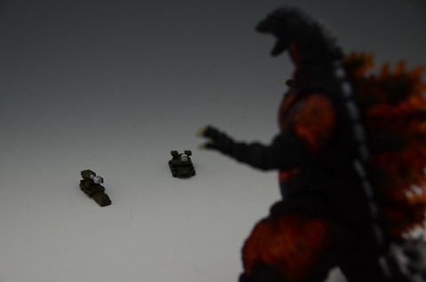 DSC_0946