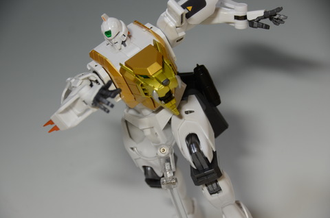 DSC_4588