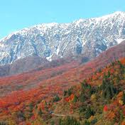紅葉で蒜山に行くなら必ず訪れた方が良い場所教えます