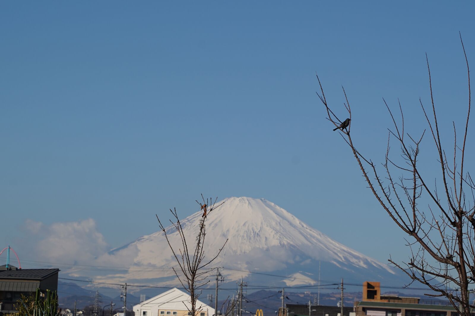 冬の富士山 湘南フォトカメのブログ