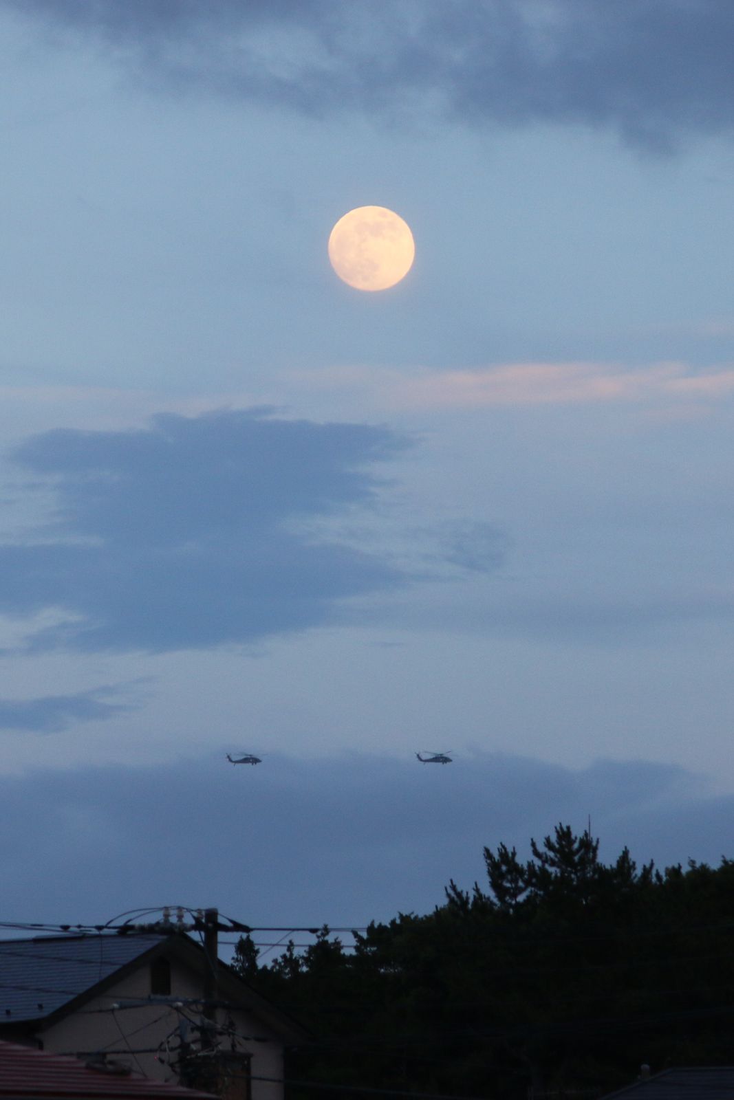 夕暮れの月 湘南フォトカメのブログ