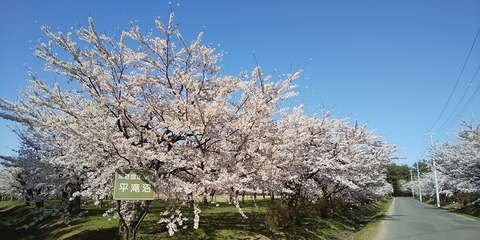 平滝沼公園-1