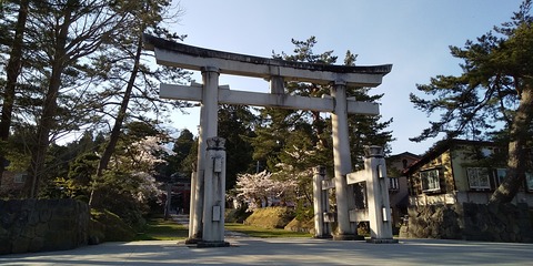 岩木山神社 桜