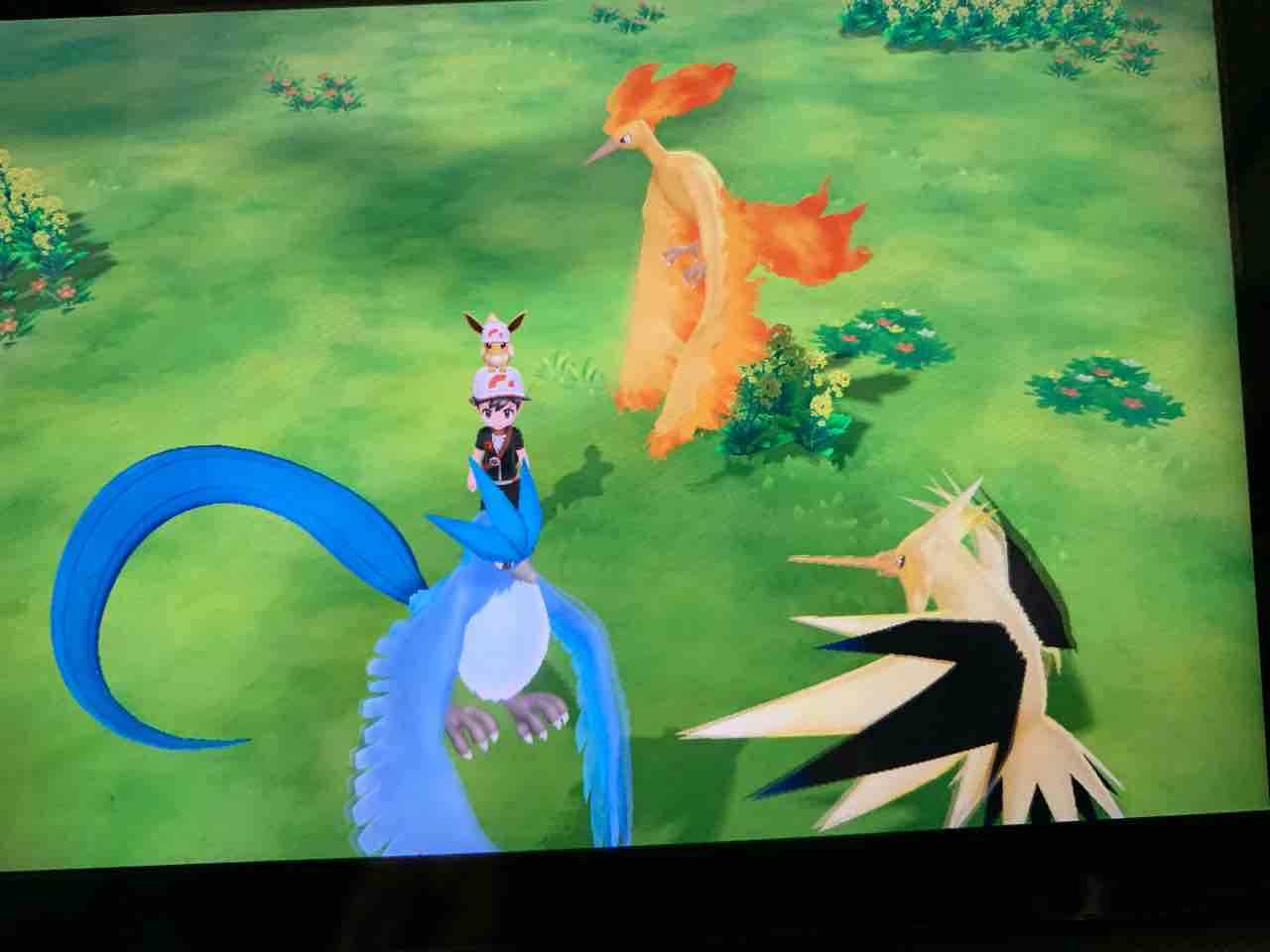 ポケモンキャラ弁とポケモンgoとレッツゴーイーブイ かめこのカントリーキッチン ポケモンキャラ弁とポケモンgoとレッツゴーイーブイ かめこのカントリーキッチン