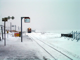 雪の中、列車がやってきました