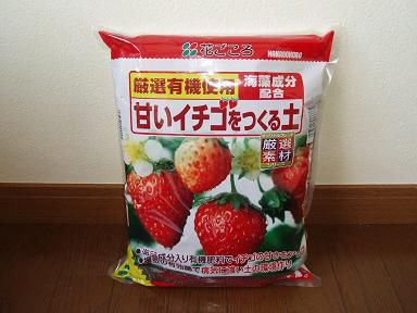 イチゴを植える培養土 培養土の選び方とガーデニング 培養土の通販ガイド