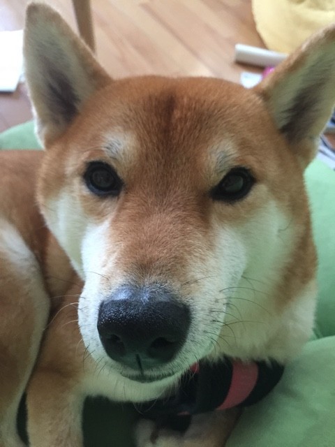 5月合宿終了
