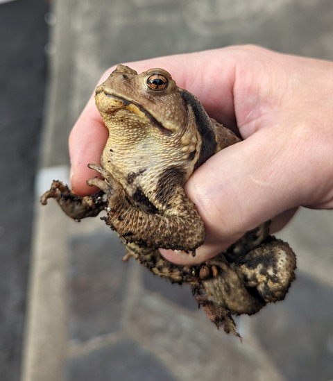 PXL_20230605_214830217