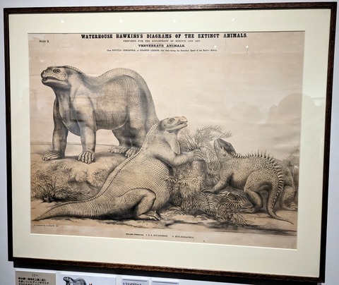 PXL_20230716_015415136