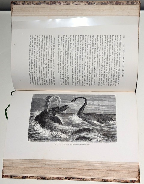 PXL_20230716_015537941