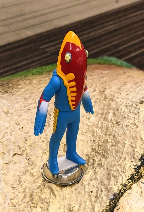 PXL_20240121_040856854