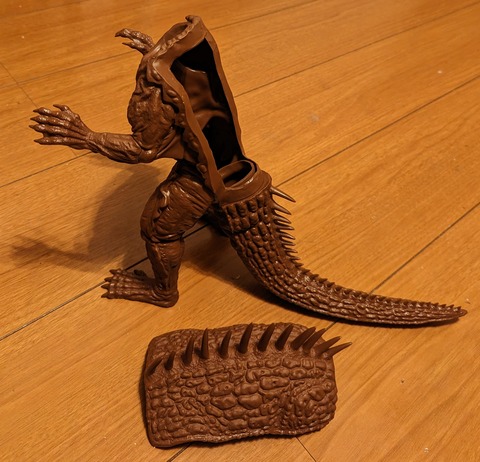 PXL_20240226_184953725