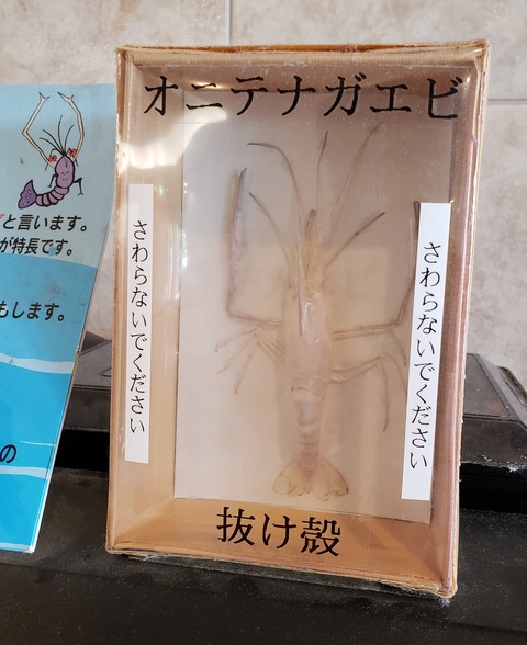 青森３　動物０８