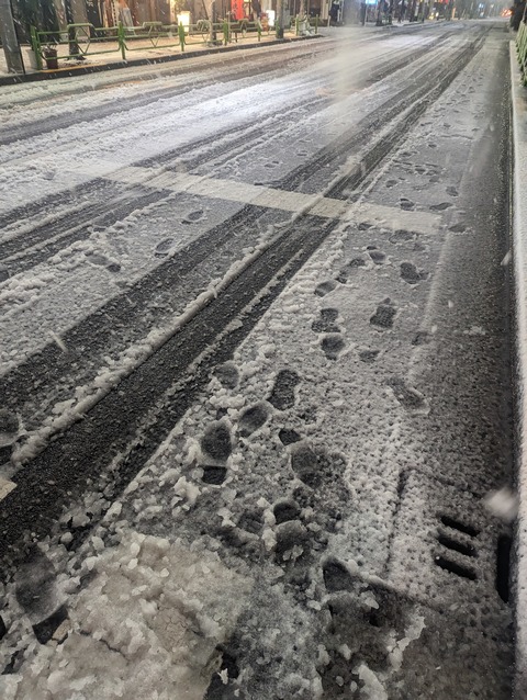 PXL_20240205_112926821.MP