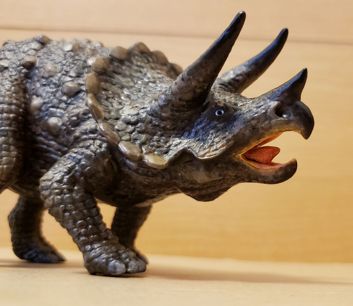 エレール トリケラトプス 努blog エレール トリケラトプス 努blog