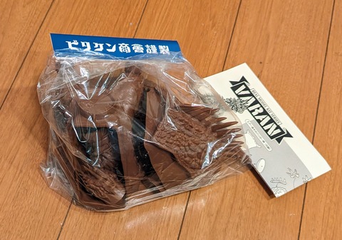 PXL_20240223_104414807