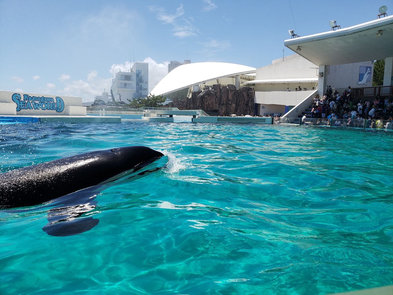 鴨川シーワールドに行きました その３ 努blog