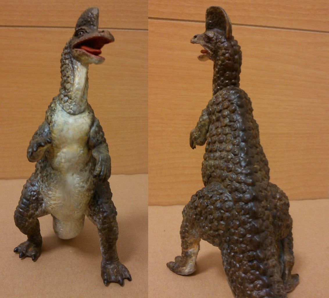 イメージ 5