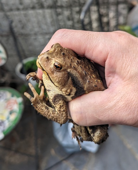 PXL_20230605_214819984