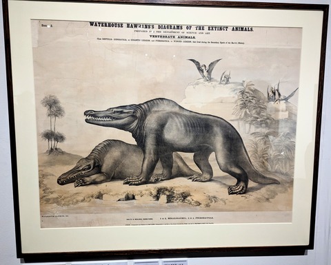 PXL_20230716_015433951