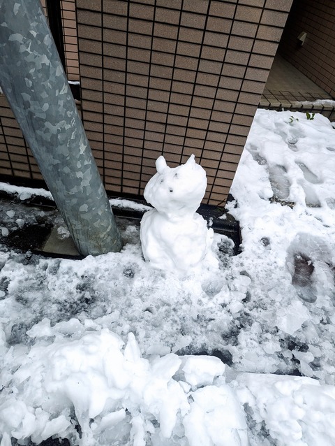 PXL_20240205_214042247