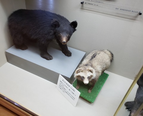 青森３　動物０４