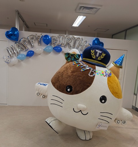 PXL_20230304_023529562