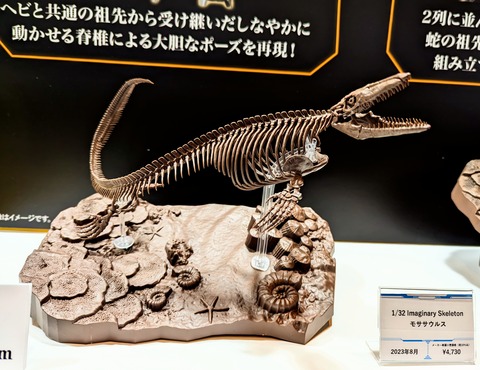 PXL_20230512_053833627