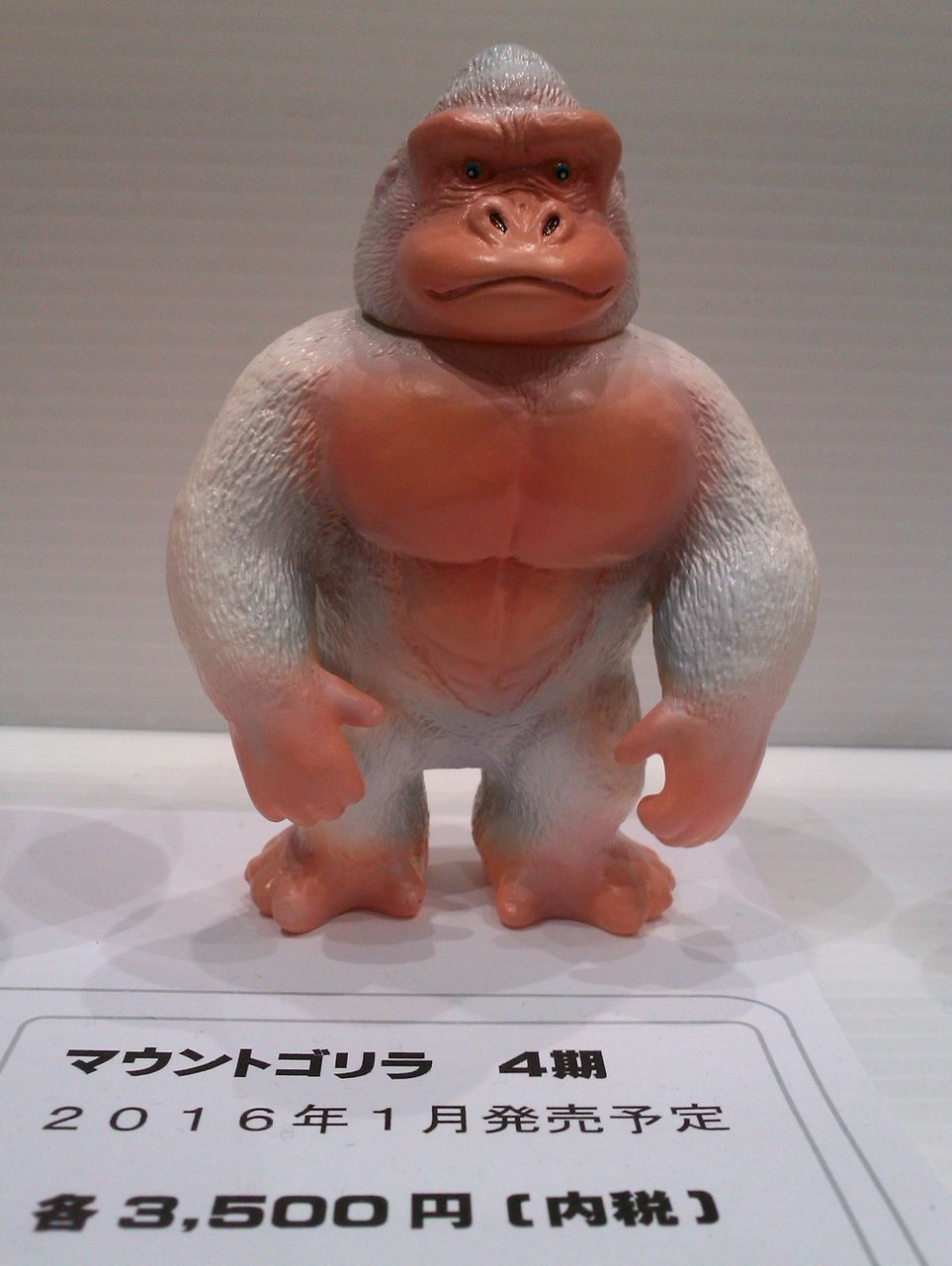 イメージ 5