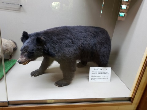 青森３　動物０２