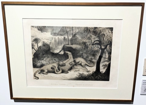 PXL_20230716_015358925