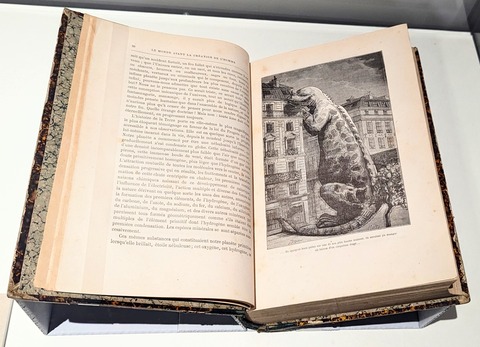 PXL_20230716_015533071