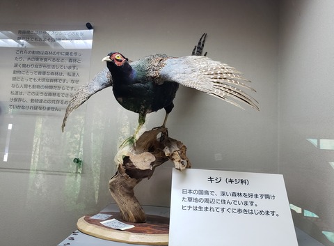 青森３　動物０３