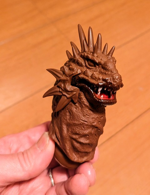 PXL_20240226_184502171