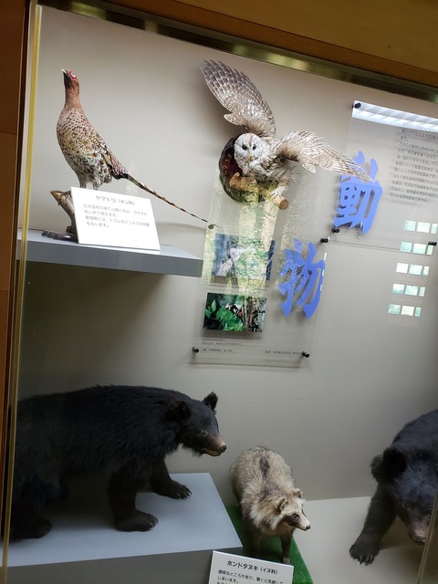 青森３　動物０１