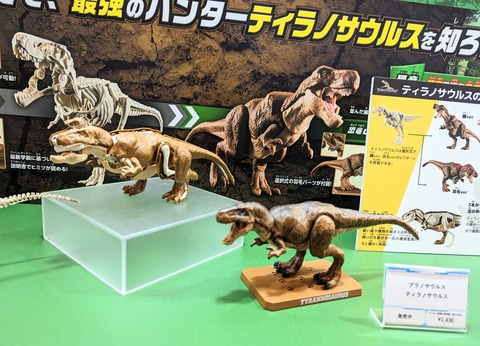 PXL_20230512_053743387