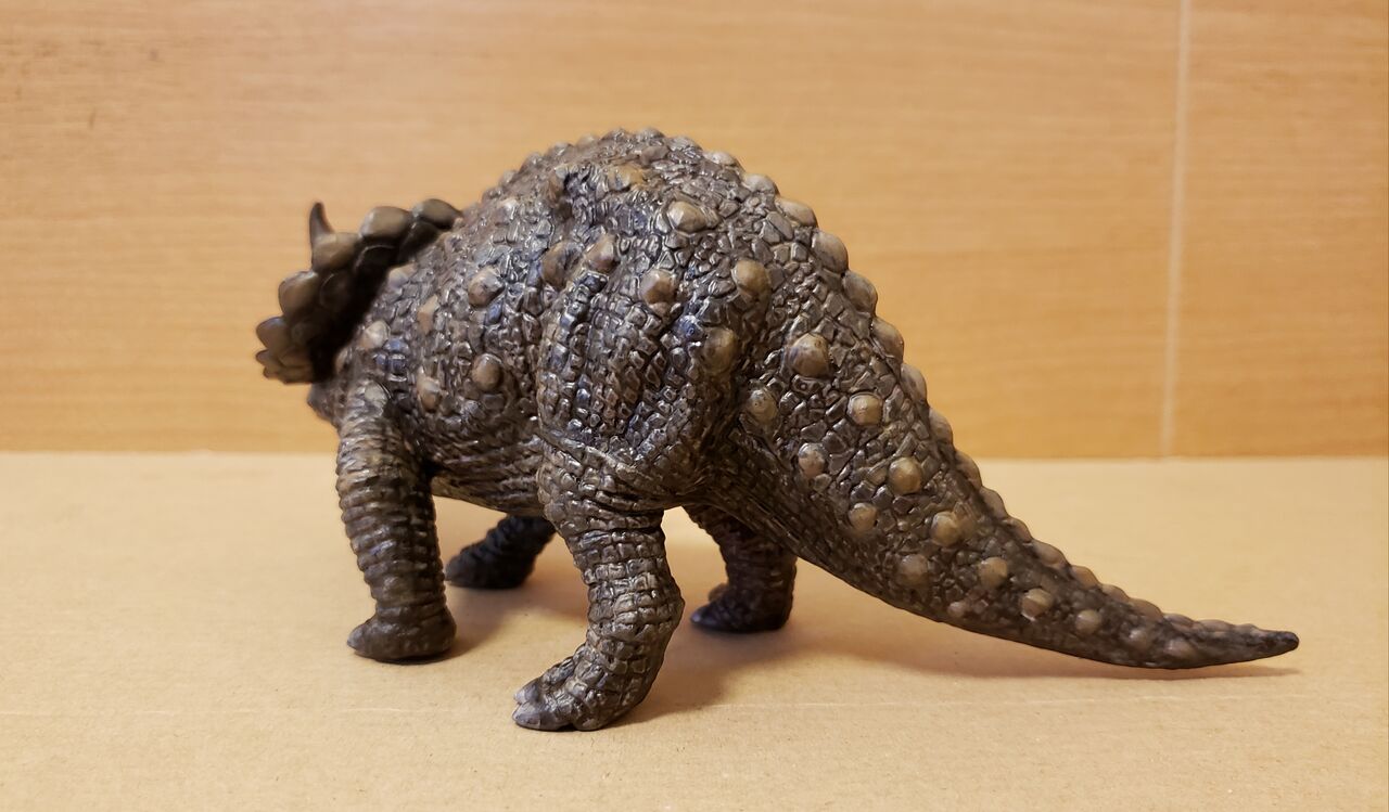 エレール トリケラトプス 努blog エレール トリケラトプス 努blog