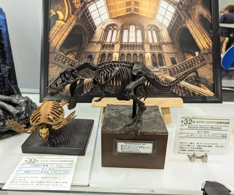 PXL_20230514_054759838.MP