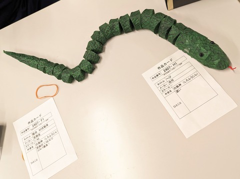 PXL_20240121_031215509