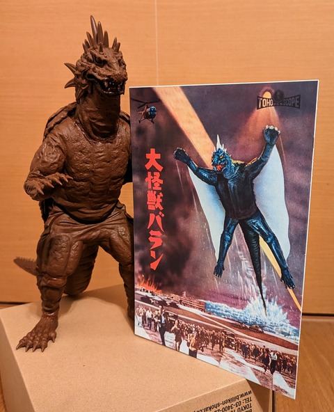 PXL_20240303_052557179