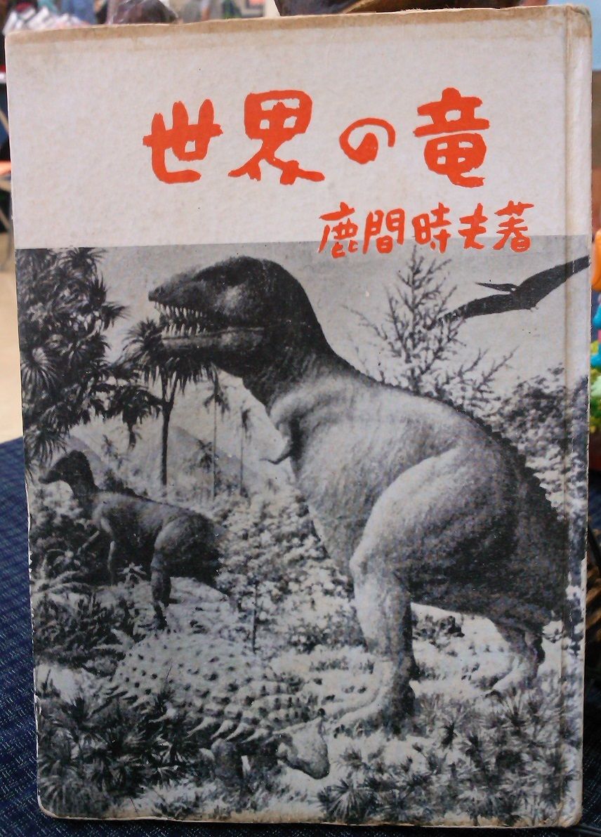 イメージ 5