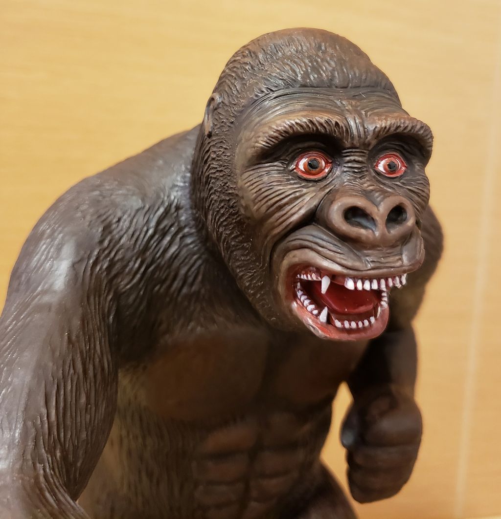 イメージ 6