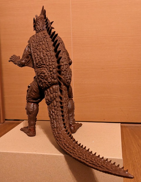 PXL_20240303_050547655